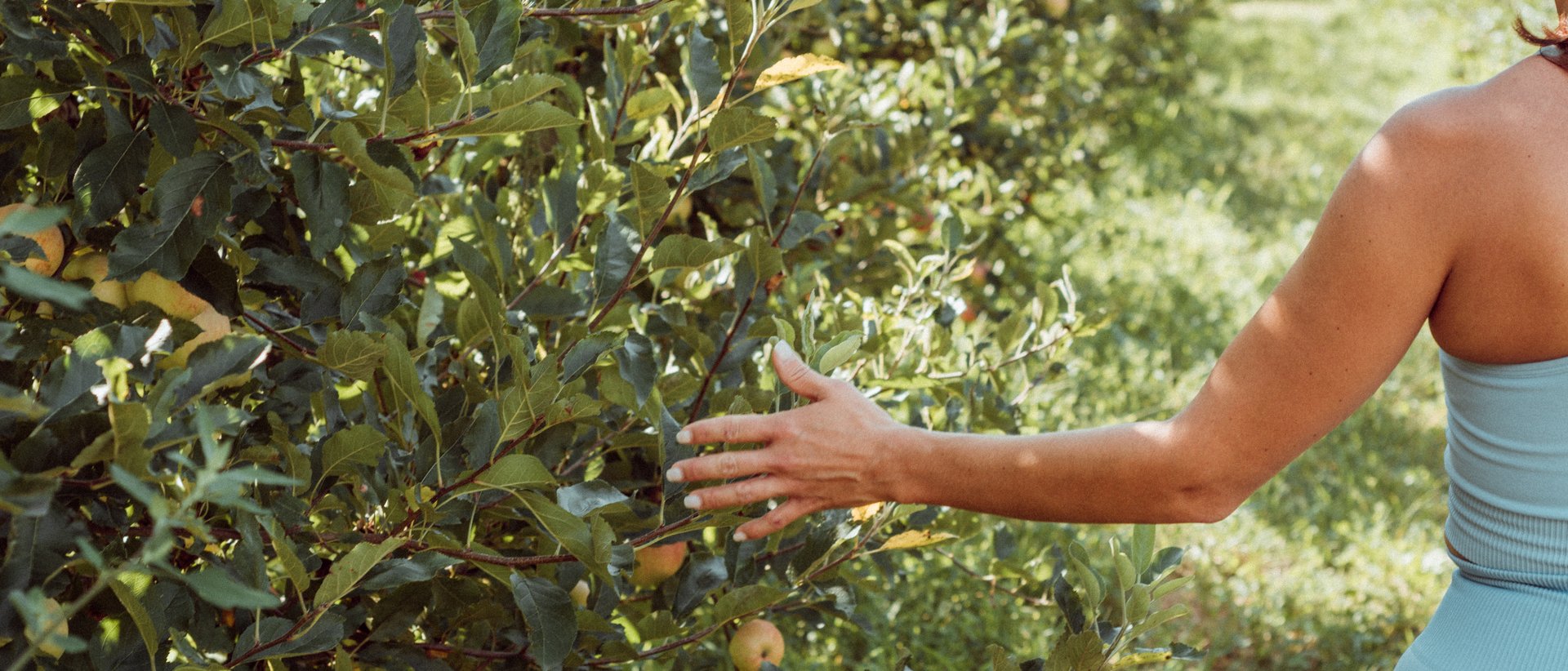 Die theiner’s garten Experiences Die theiner’s garten Experiences