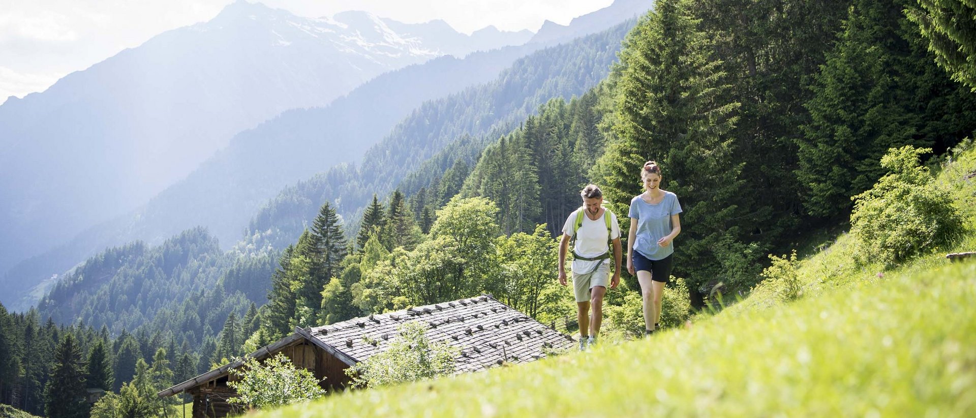 theiner’s garten der Energie theiner’s garten der Energie