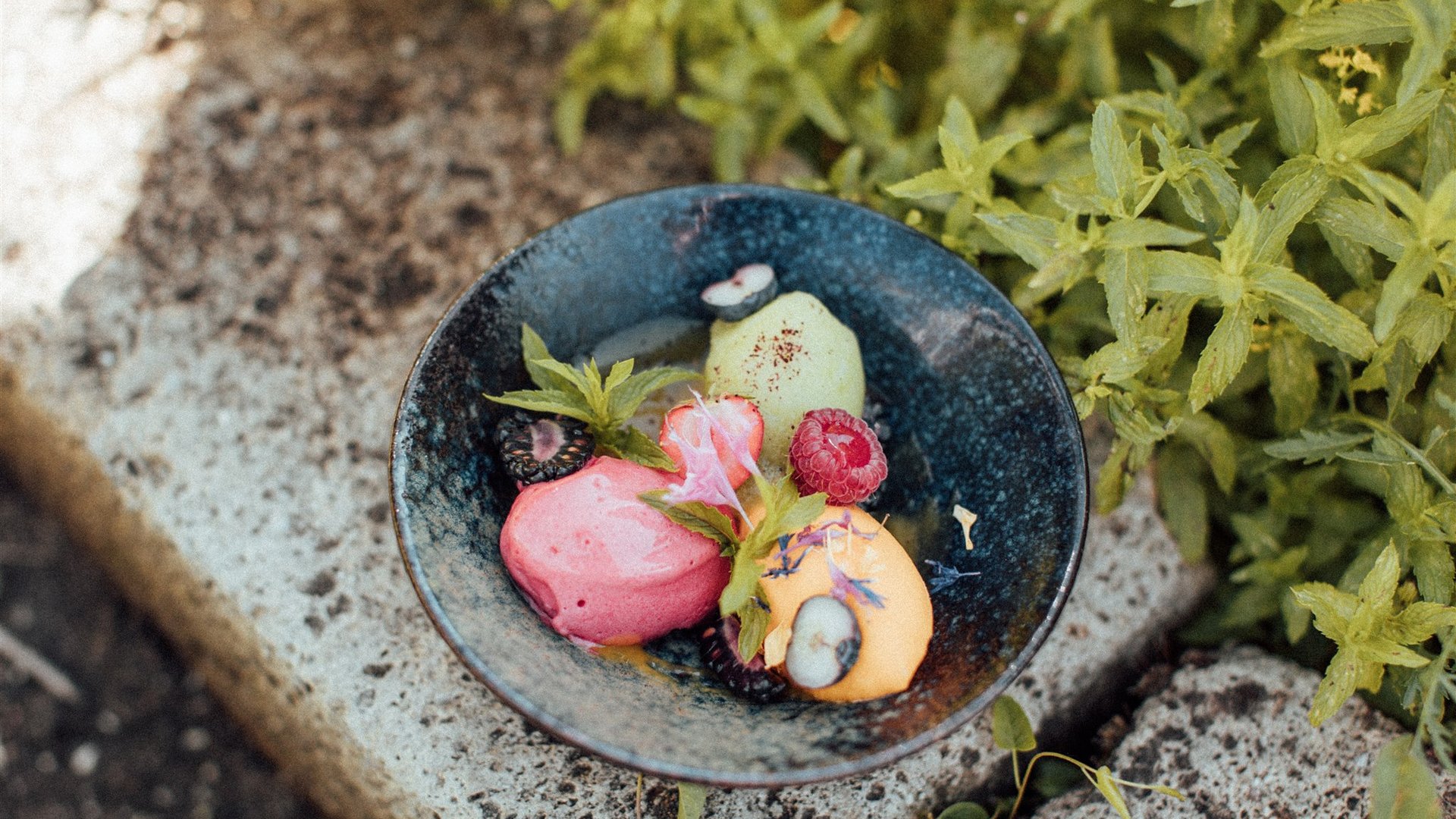 Ihr Biohotel im Meraner Land Ihr Biohotel im Meraner Land