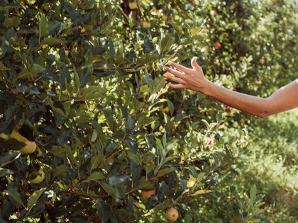 Big Five for Life Big Five for Life