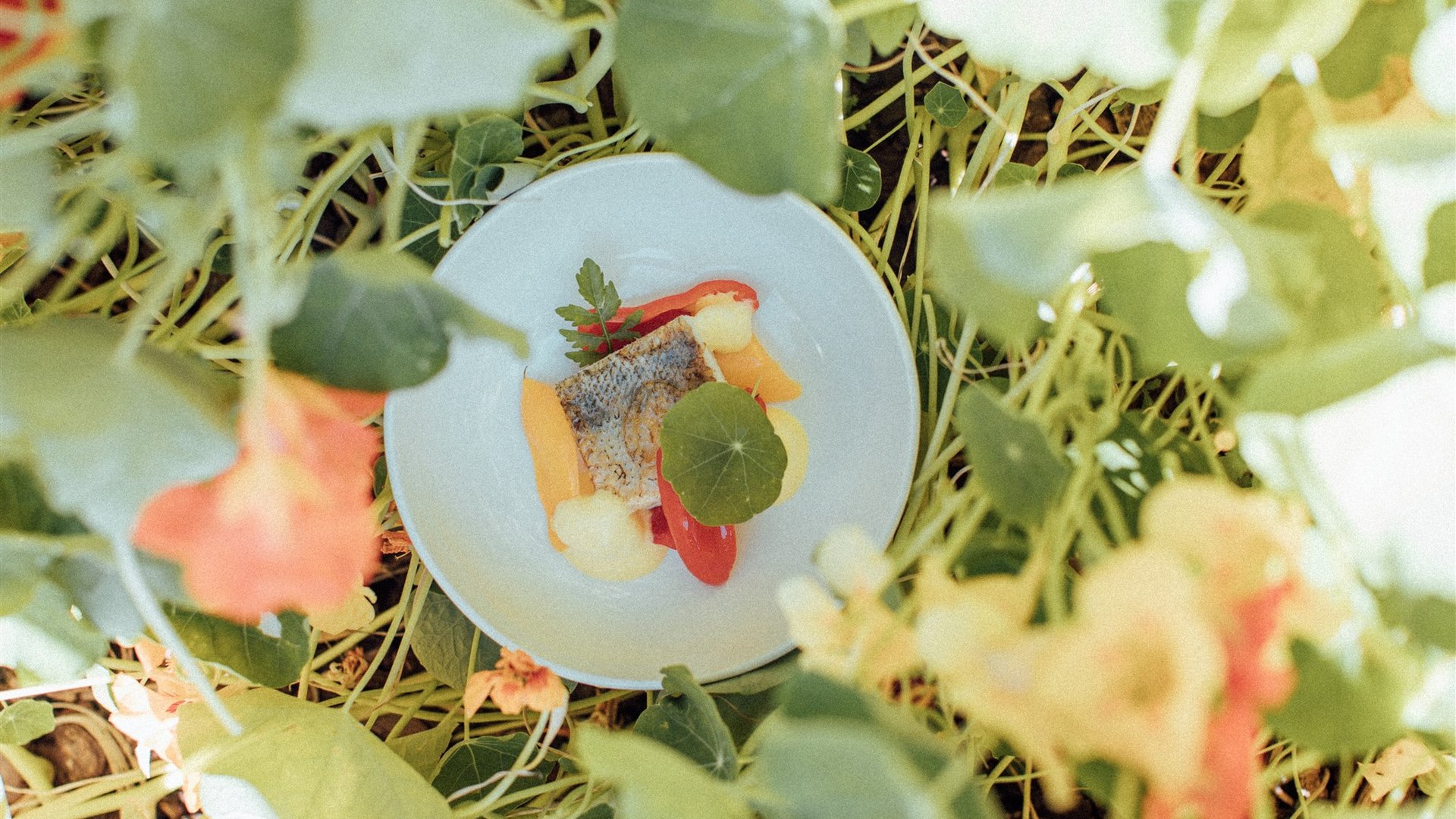 Ihr Biohotel im Meraner Land Ihr Biohotel im Meraner Land