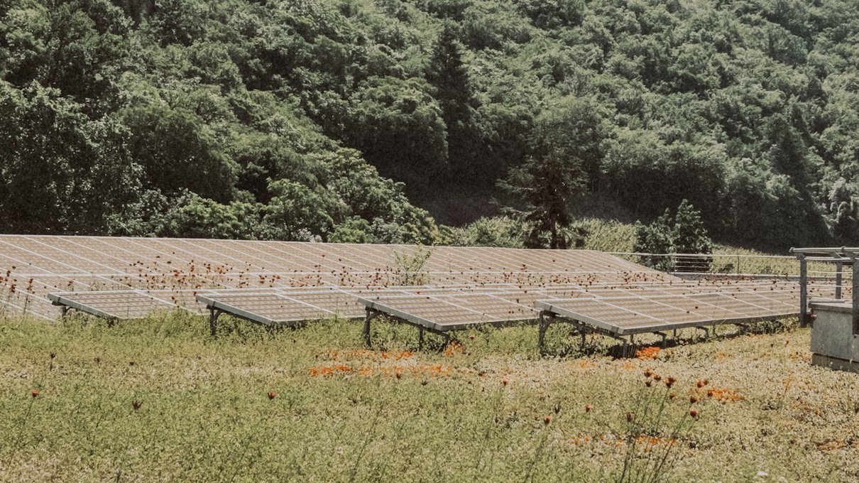 Das theiner’s garten Aktivprogramm Das theiner’s garten Aktivprogramm