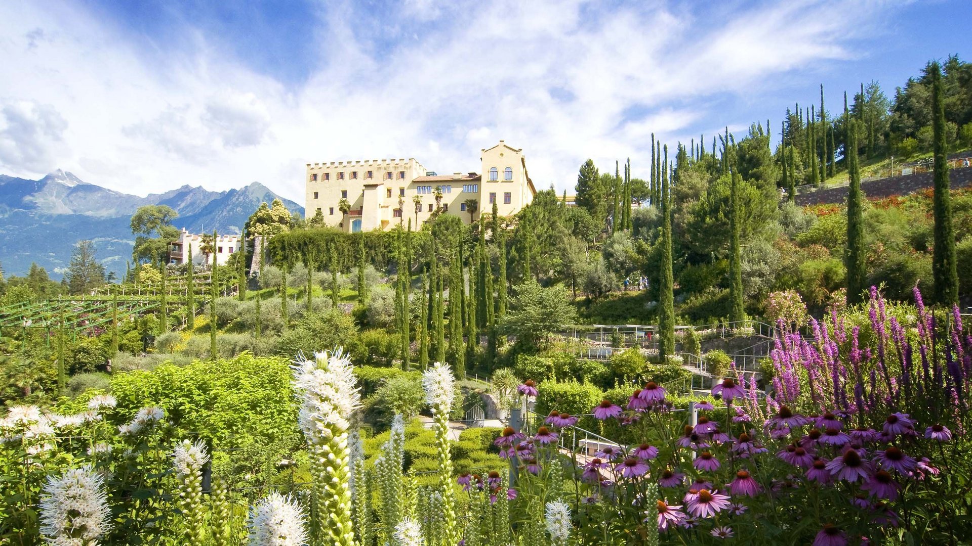 Die Umgebung Die Umgebung