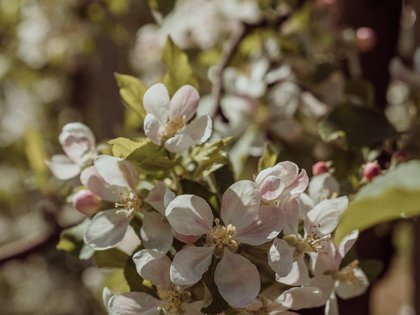 Achtsamkeitsretreat Achtsamkeitsretreat