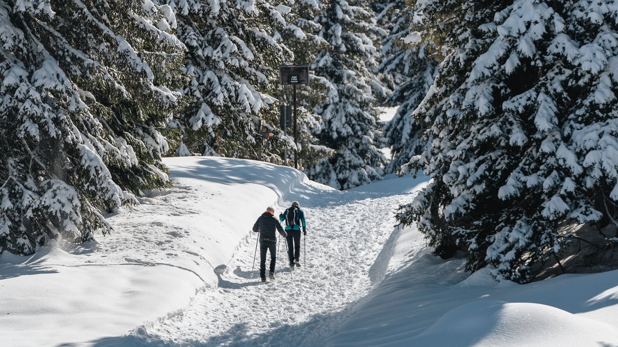 Ihr Bio-Vital-Hotel Ihr Bio-Vital-Hotel