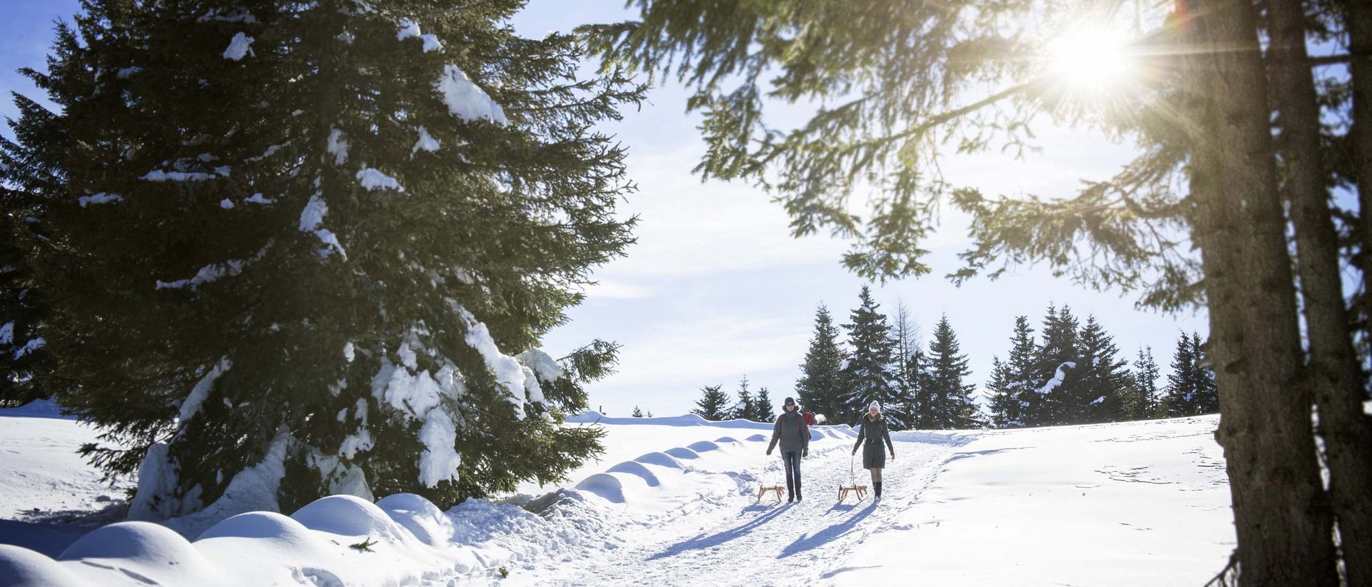 theiner’s garten der Energie theiner’s garten der Energie