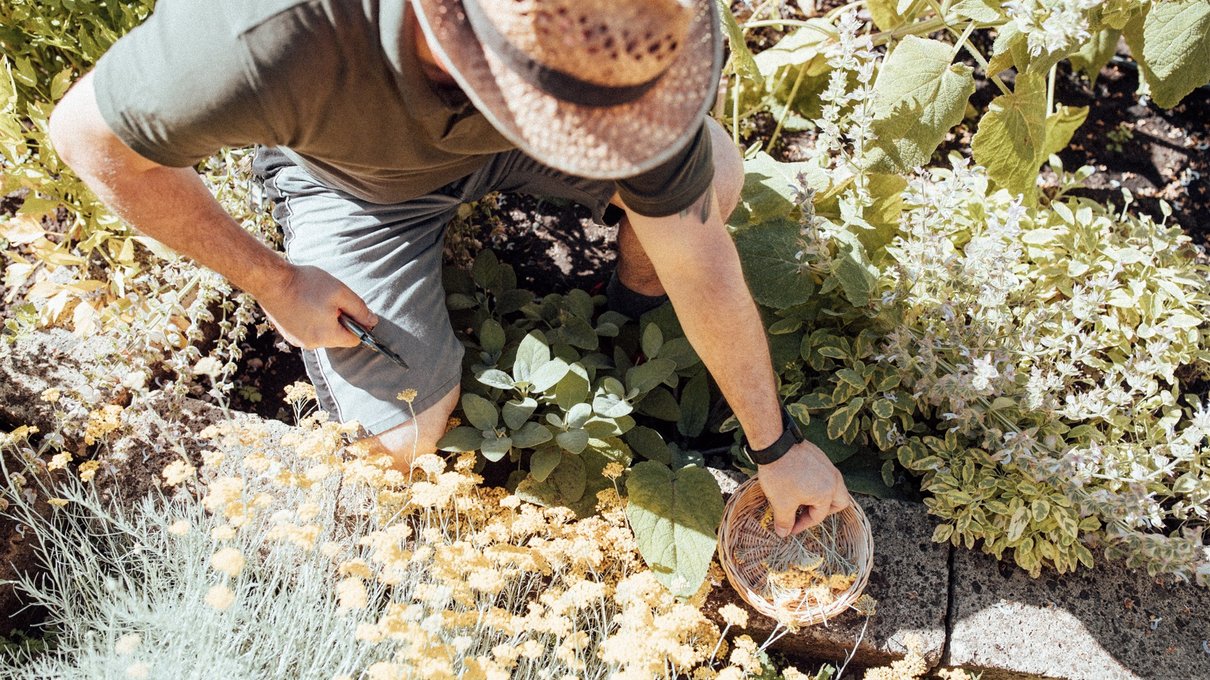 Ihr Bio-Vital-Hotel Ihr Bio-Vital-Hotel