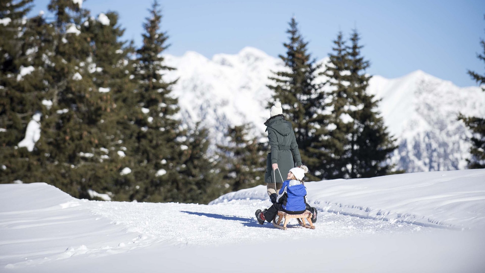 theiner’s garten in winter theiner’s garten in winter