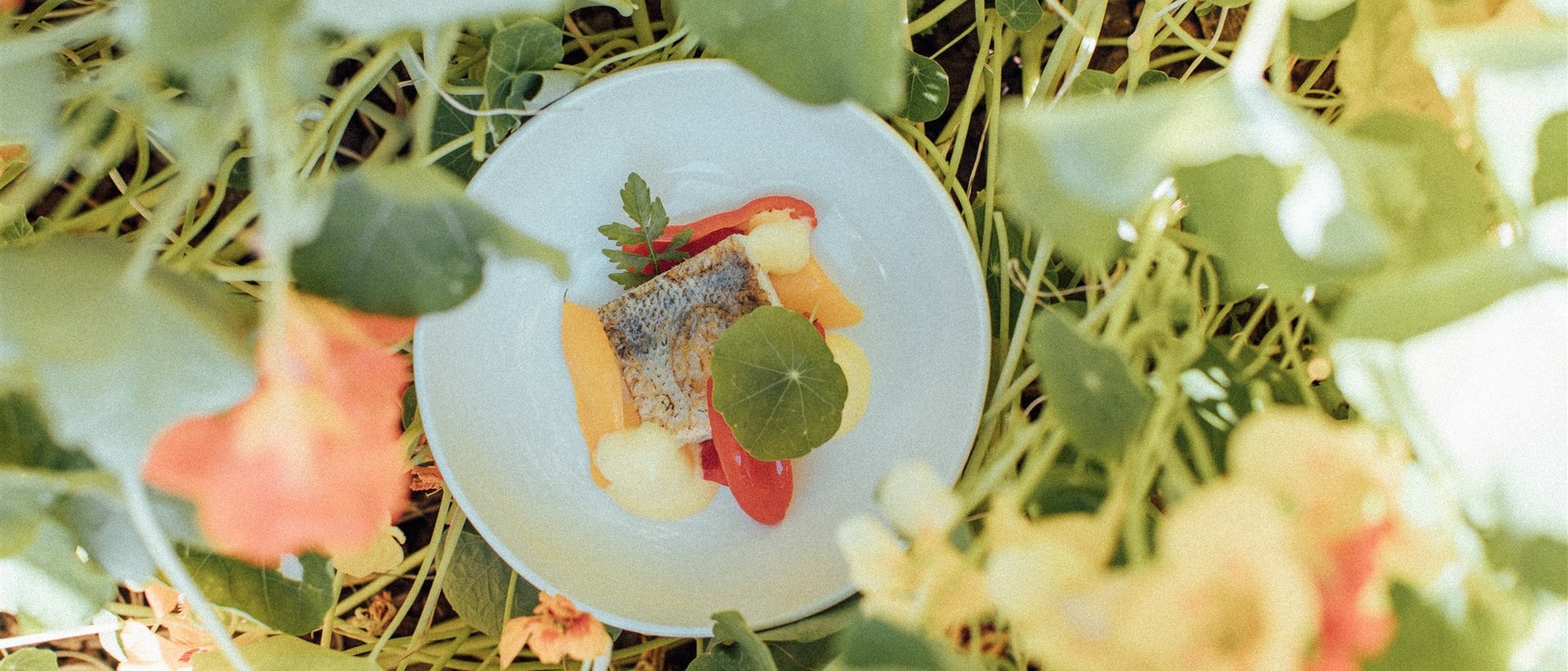 theiner's garten BIO VITALHOTEL theiner's garten BIO VITALHOTEL