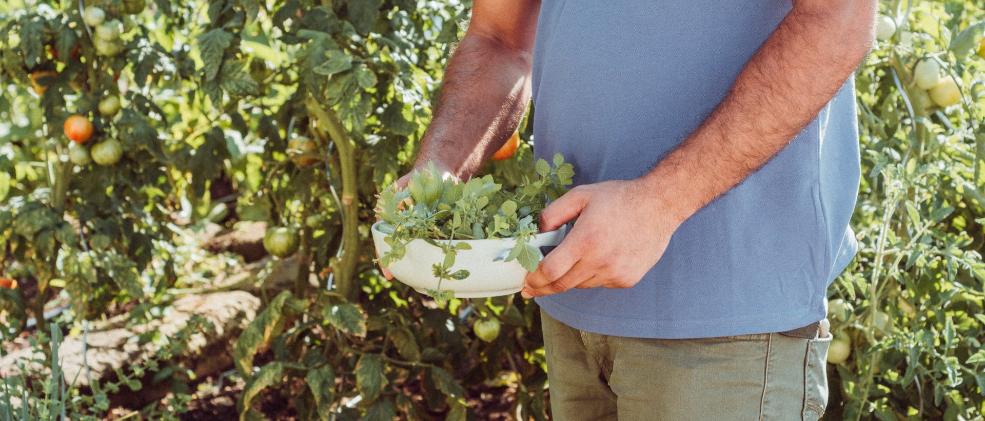 theiner's garten BIO VITALHOTEL theiner's garten BIO VITALHOTEL